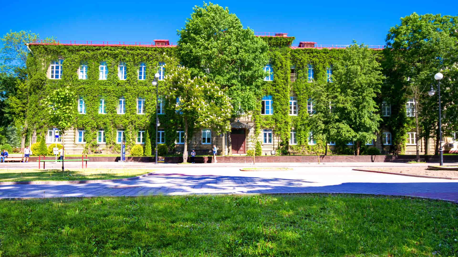 Yanka Kupala State University of Grodno the main image